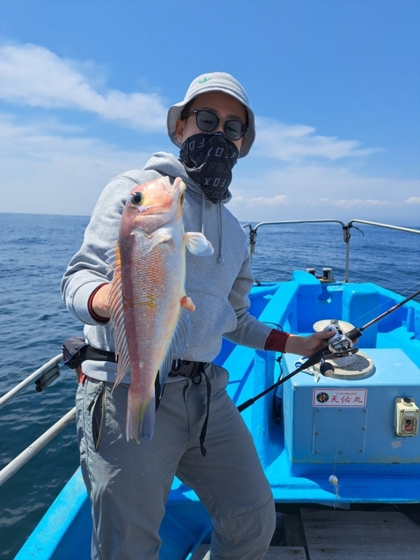 4/13（土）南伊勢の五ケ所湾のタイラバの釣果情報_真鯛_マダイ_ウッカリカサゴ