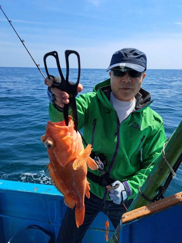 4/13（土）南伊勢の五ケ所湾のタイラバの釣果情報_真鯛_マダイ_ウッカリカサゴ