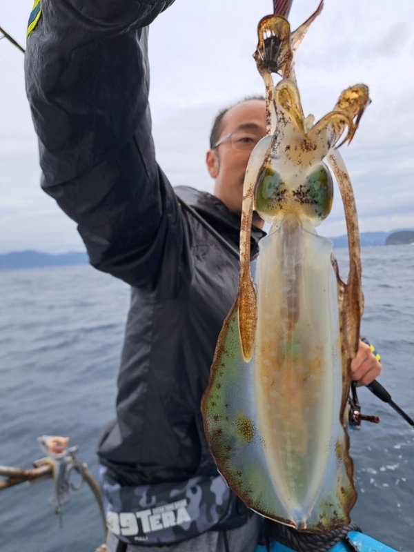 10/26（土）南伊勢の五ケ所湾のティップランの釣果情報_エギング_アオリイカ