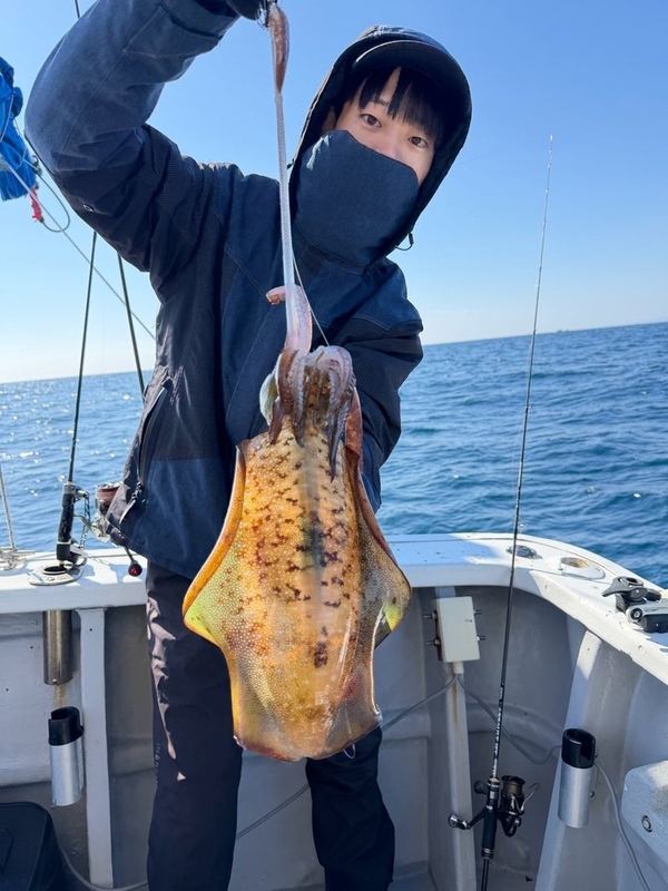02/01（日）南伊勢の五ケ所湾のティップランの釣果情報_エギング_アオリイカ