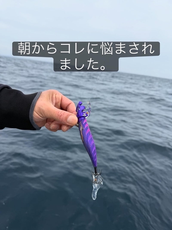 03/18(水)南伊勢の五ケ所湾のティップランの釣果情報_エギング_アオリイカ