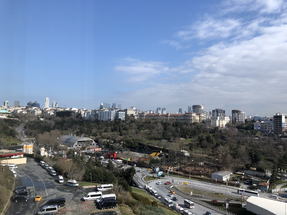 f:id:tatsumaron:20190317091002j:plain