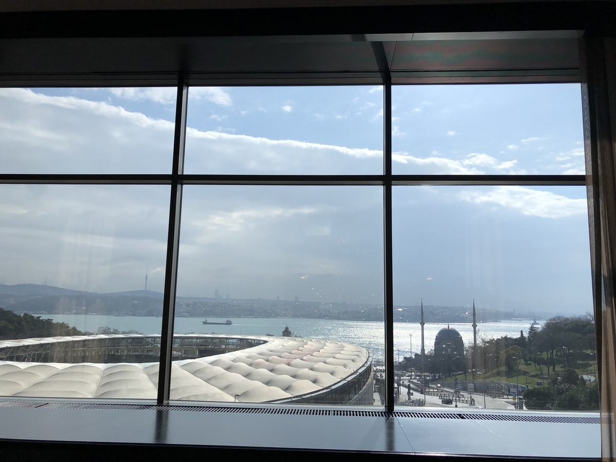 f:id:tatsumaron:20190317091116j:plain