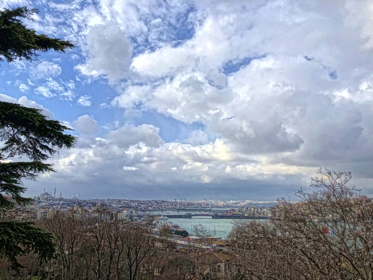 f:id:tatsumaron:20190318093601j:plain