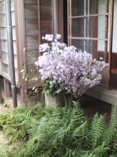 f:id:tatsumidou:20130925154625j:image