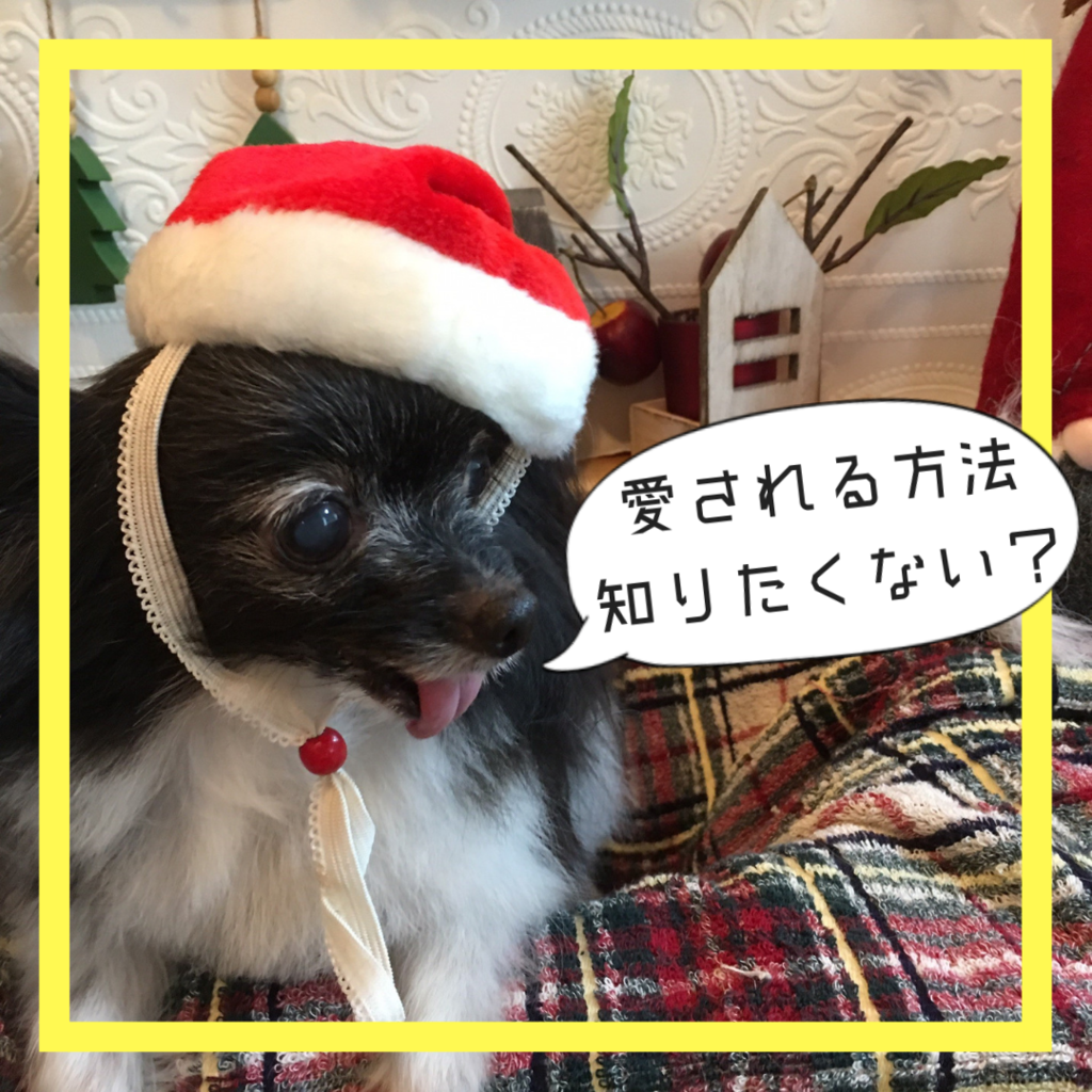 f:id:tatsumindrums:20190102164932p:plain