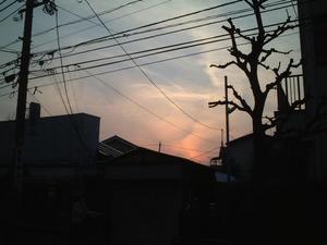 f:id:tatsumine:20050327191750:image f:id:tatsumine:20050327191750:image