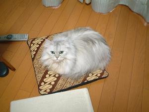 f:id:tatsumine:20050327192319:image f:id:tatsumine:20050327192319:image