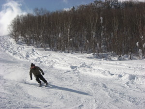 f:id:tatsumine:20100109132528j:image f:id:tatsumine:20100109132528j:image