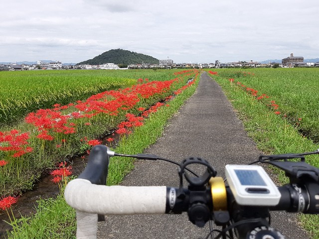 f:id:tatsumitatsu:20210920102008j:image