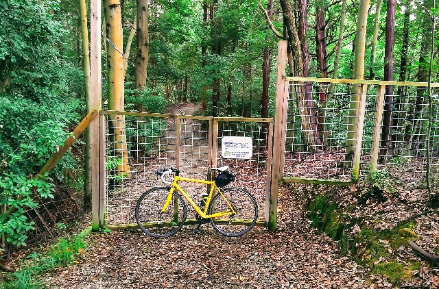 f:id:tatsumitatsu:20211018235807j:image f:id:tatsumitatsu:20211018235807j:image