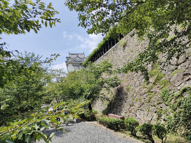 f:id:tatsumitatsu:20250817104343j:image