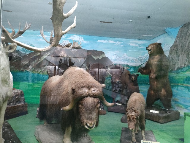 f:id:tatsumitatsu:20250817114141j:image