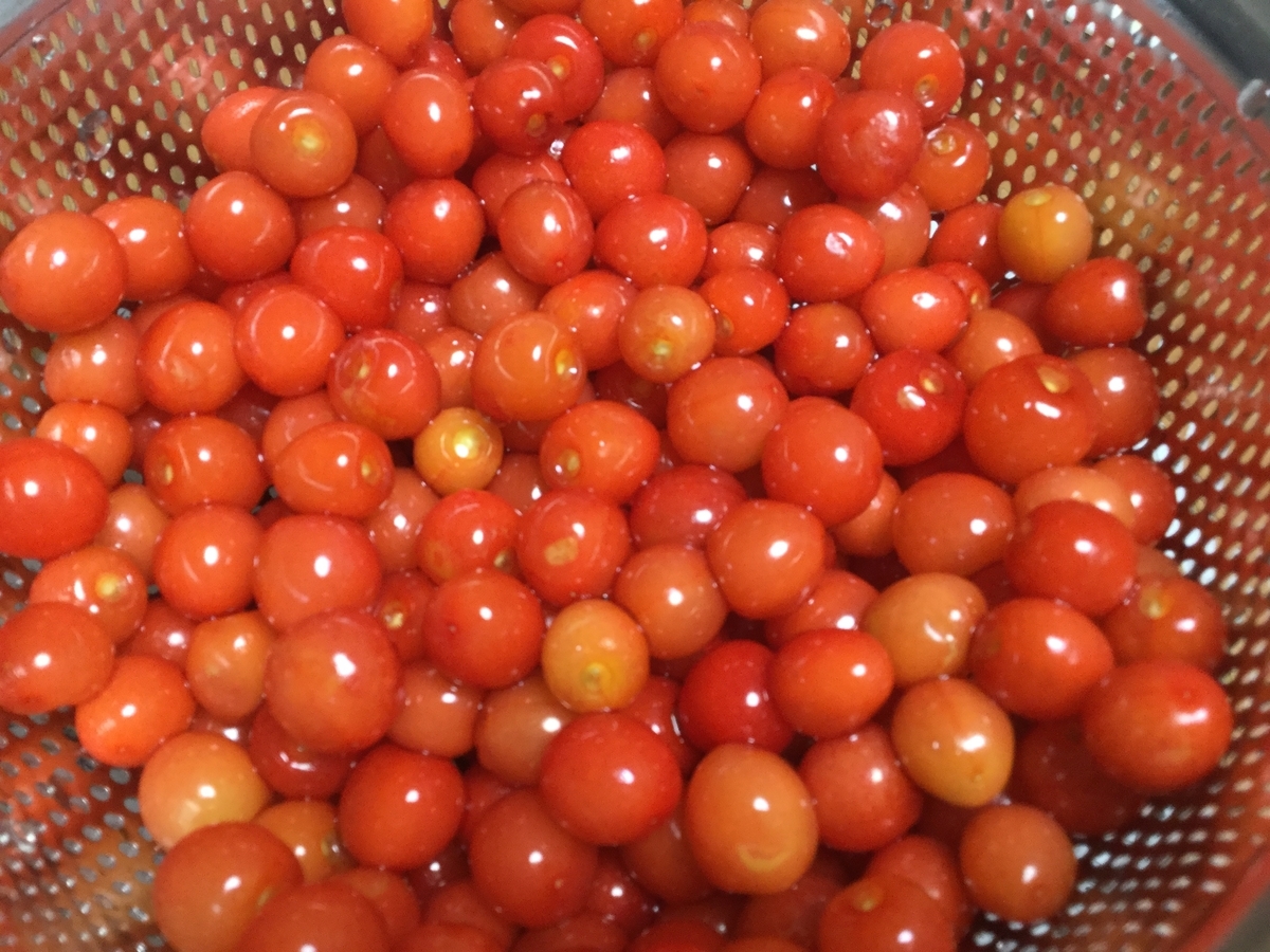 f:id:tatsumix:20190507214219j:plain