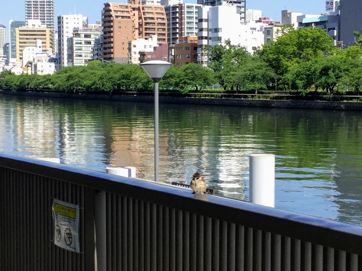 f:id:tatsumix:20190530123019j:plain