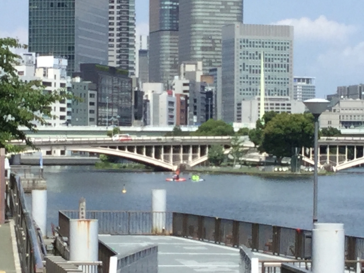 f:id:tatsumix:20190622201251j:plain f:id:tatsumix:20190622201251j:plain