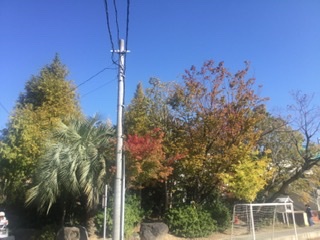 f:id:tatsumix:20191111002734j:plain