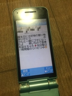 f:id:tatsumix:20200316225955j:plain f:id:tatsumix:20200316225955j:plain