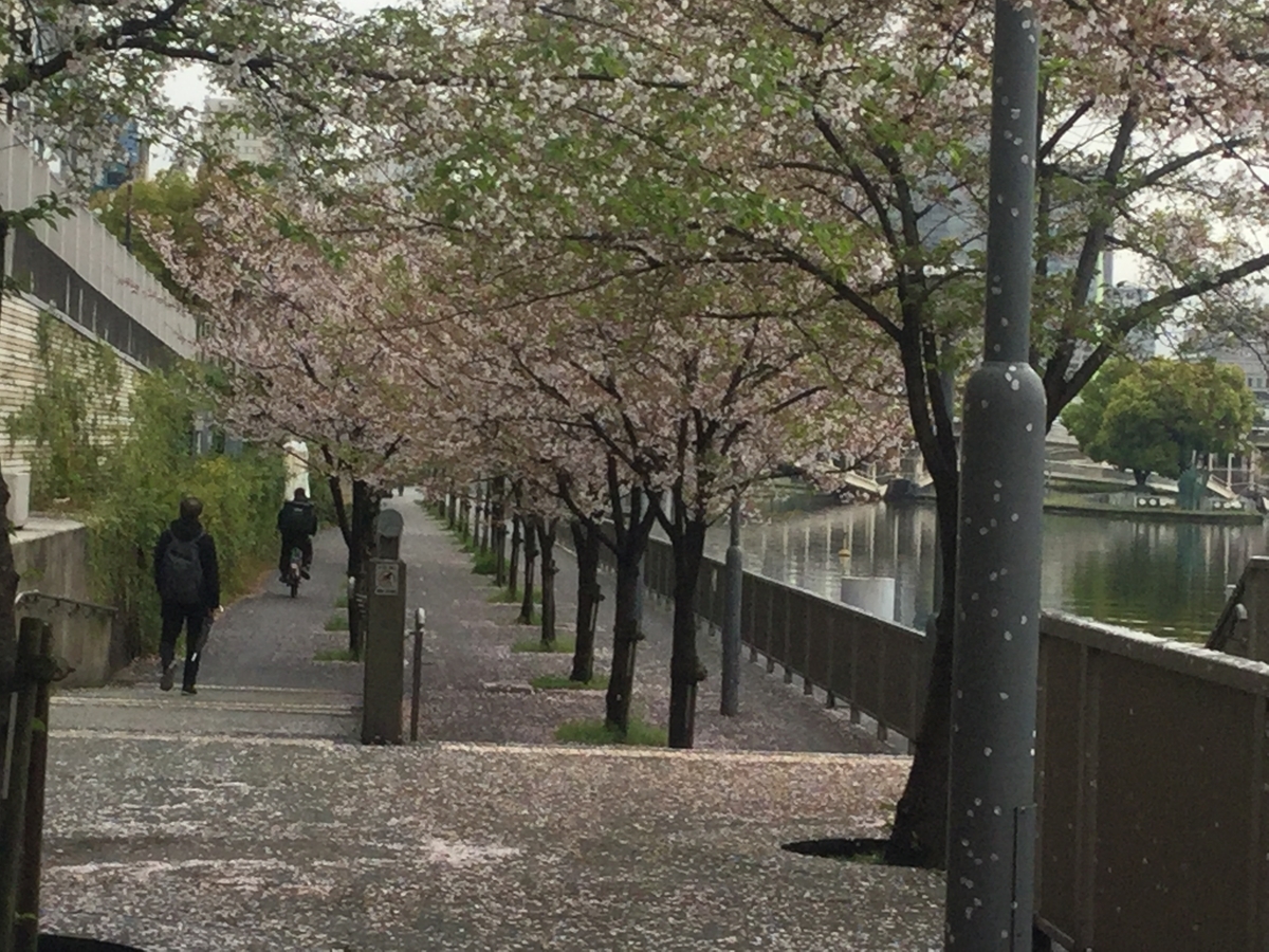 f:id:tatsumix:20200414000153j:plain