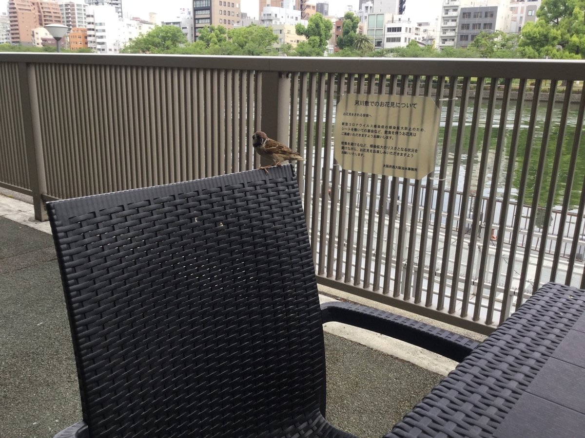 f:id:tatsumix:20200516072044j:plain