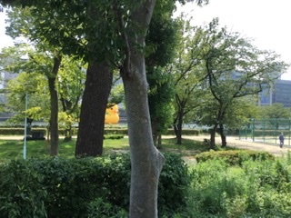 f:id:tatsumix:20200825185000j:plain