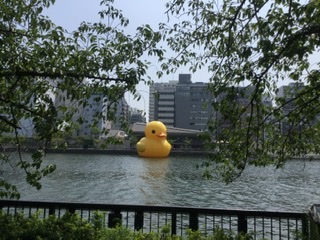 f:id:tatsumix:20200825185129j:plain