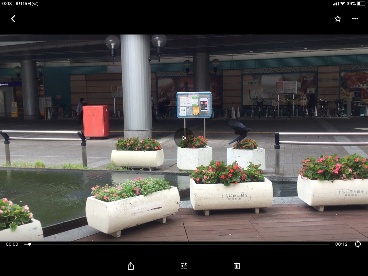 f:id:tatsumix:20200915001048p:plain f:id:tatsumix:20200915001048p:plain