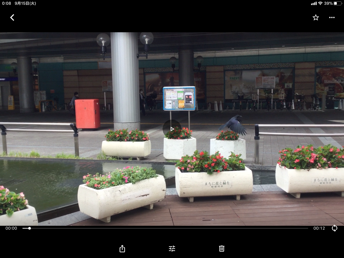 f:id:tatsumix:20200915001108p:plain f:id:tatsumix:20200915001108p:plain