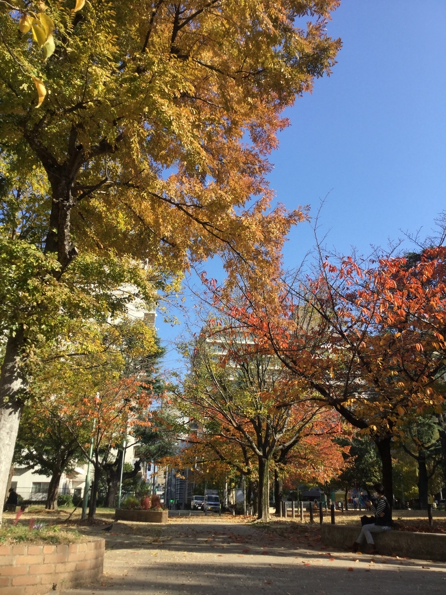 f:id:tatsumix:20201119221433j:plain