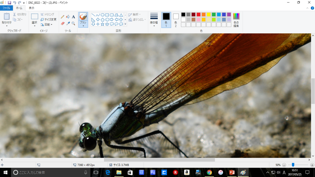 f:id:tatsumo77:20170722154116p:plain