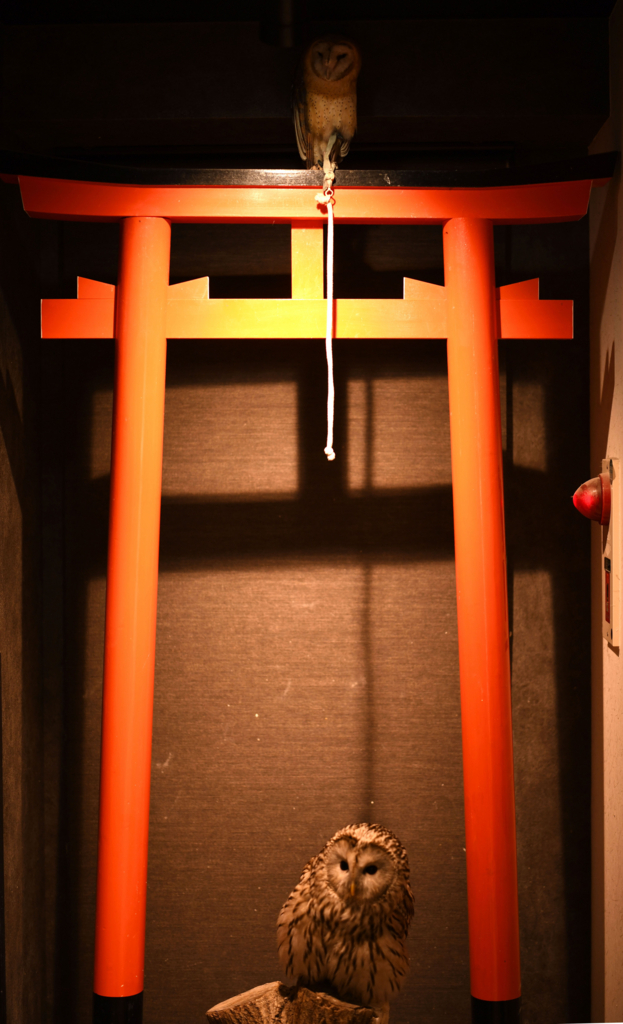 f:id:tatsumo77:20170918053243j:plain f:id:tatsumo77:20170918053243j:plain