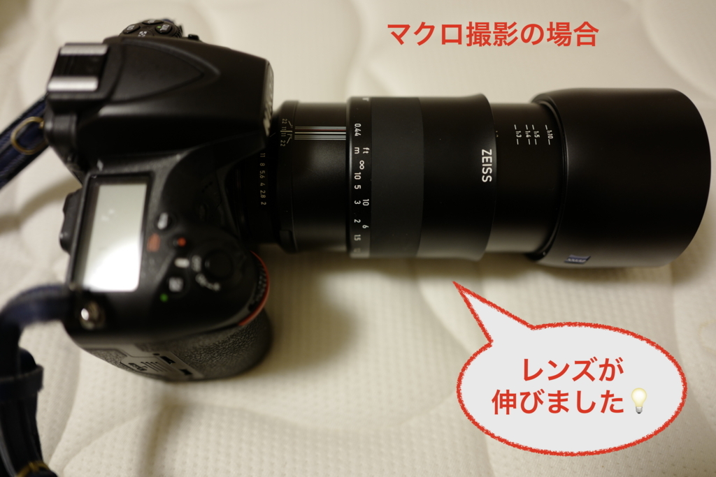 f:id:tatsumo77:20180216082420j:plain f:id:tatsumo77:20180216082420j:plain