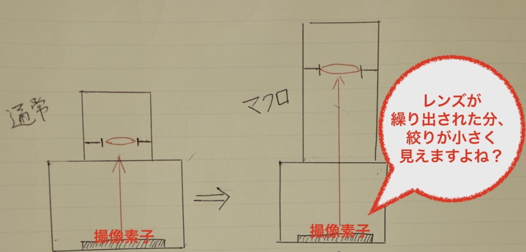 f:id:tatsumo77:20180216082914j:plain f:id:tatsumo77:20180216082914j:plain