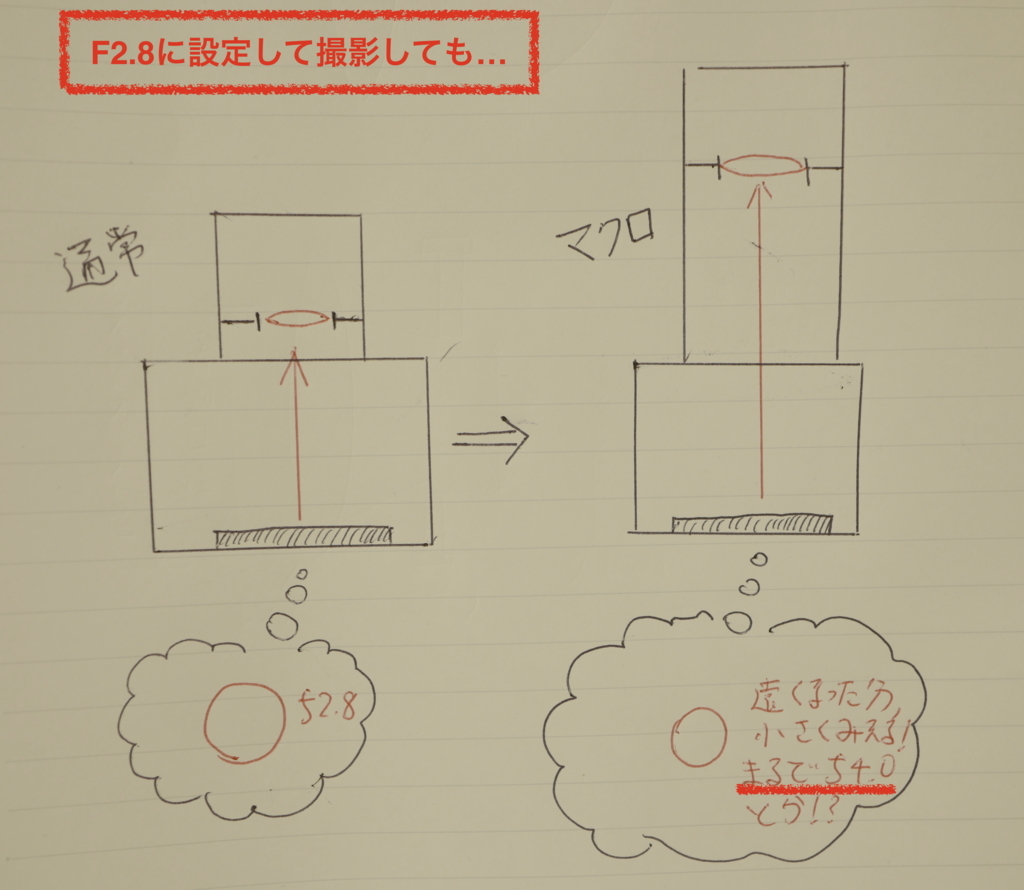 f:id:tatsumo77:20180216083158j:plain f:id:tatsumo77:20180216083158j:plain