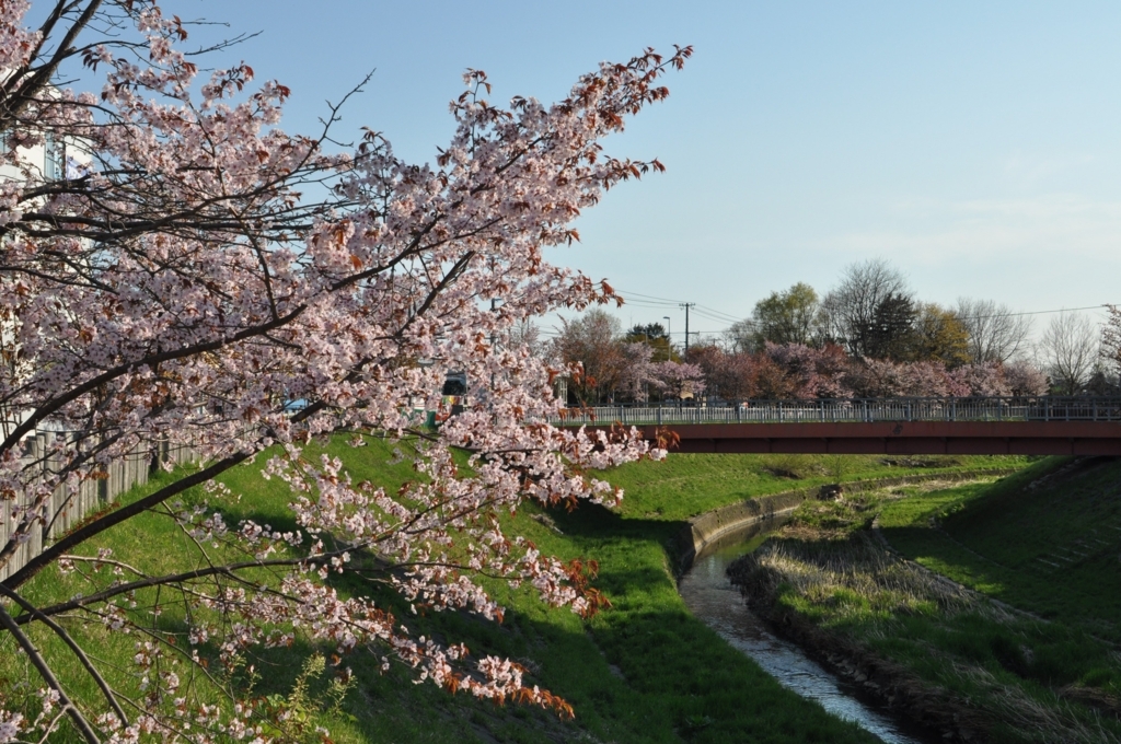 f:id:tatsumo77:20180315170950j:plain