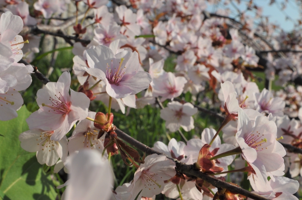 f:id:tatsumo77:20180317093249j:plain