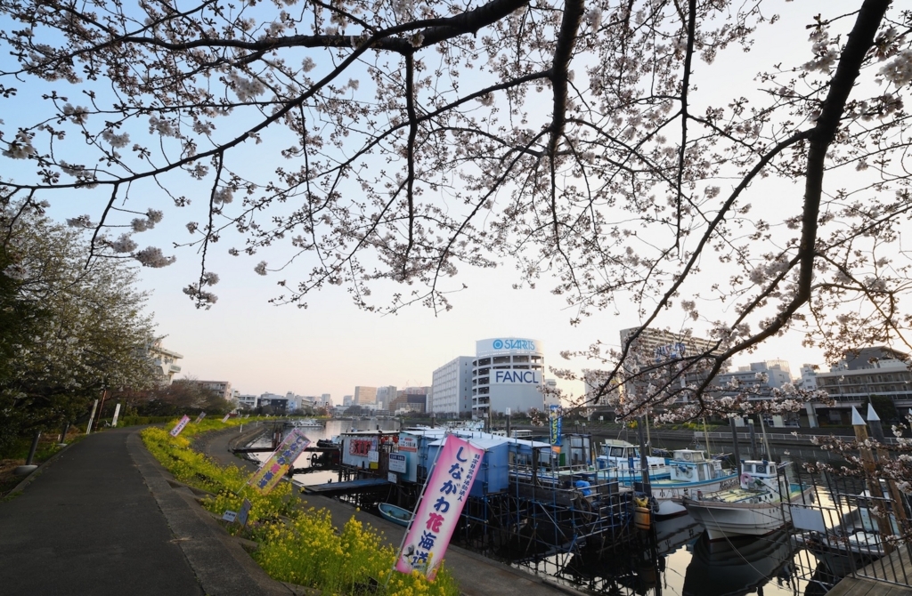 f:id:tatsumo77:20180331135311j:plain