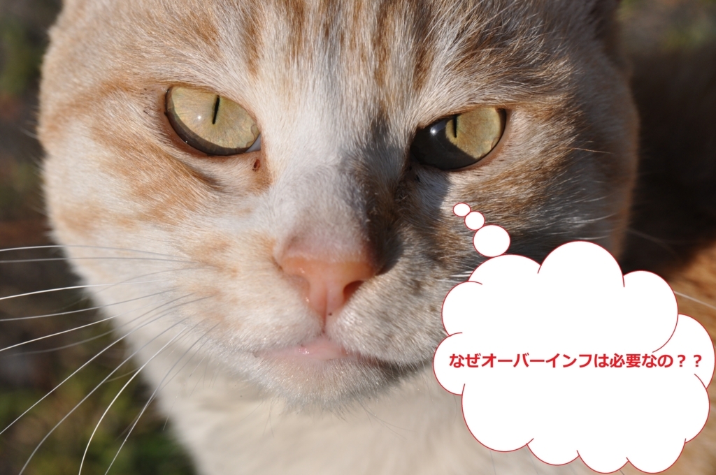 f:id:tatsumo77:20180513144952j:plain