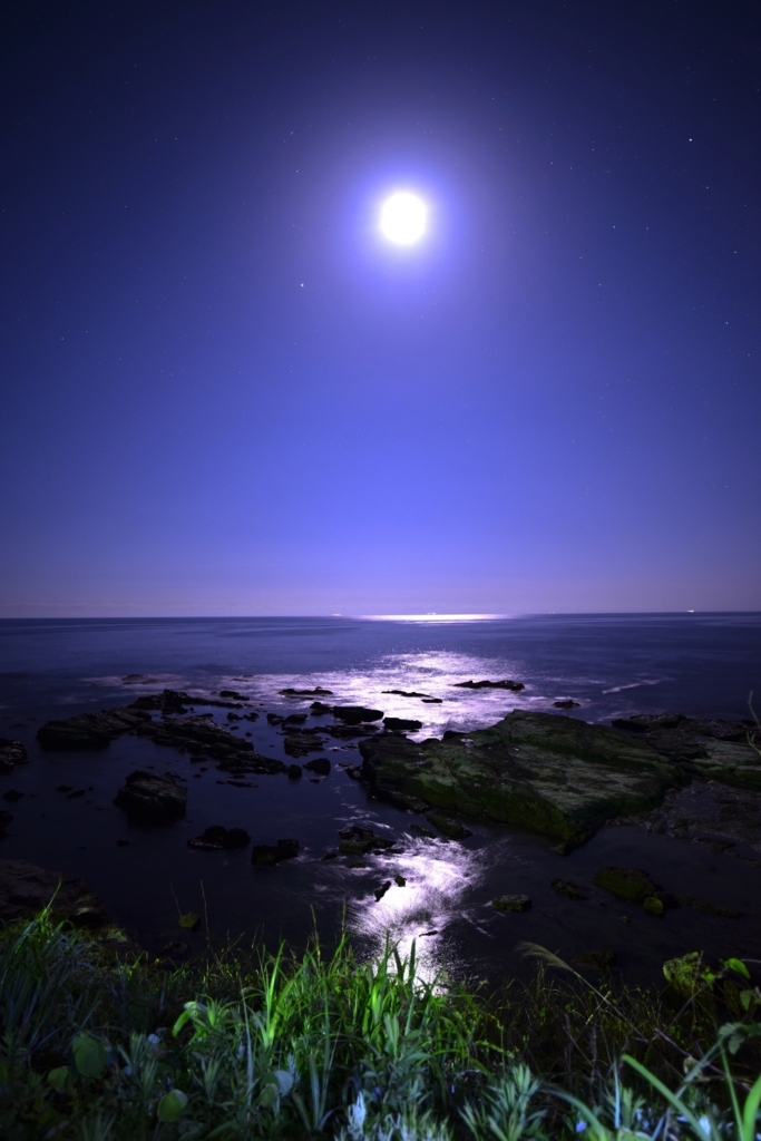 f:id:tatsumo77:20180724160805j:plain f:id:tatsumo77:20180724160805j:plain