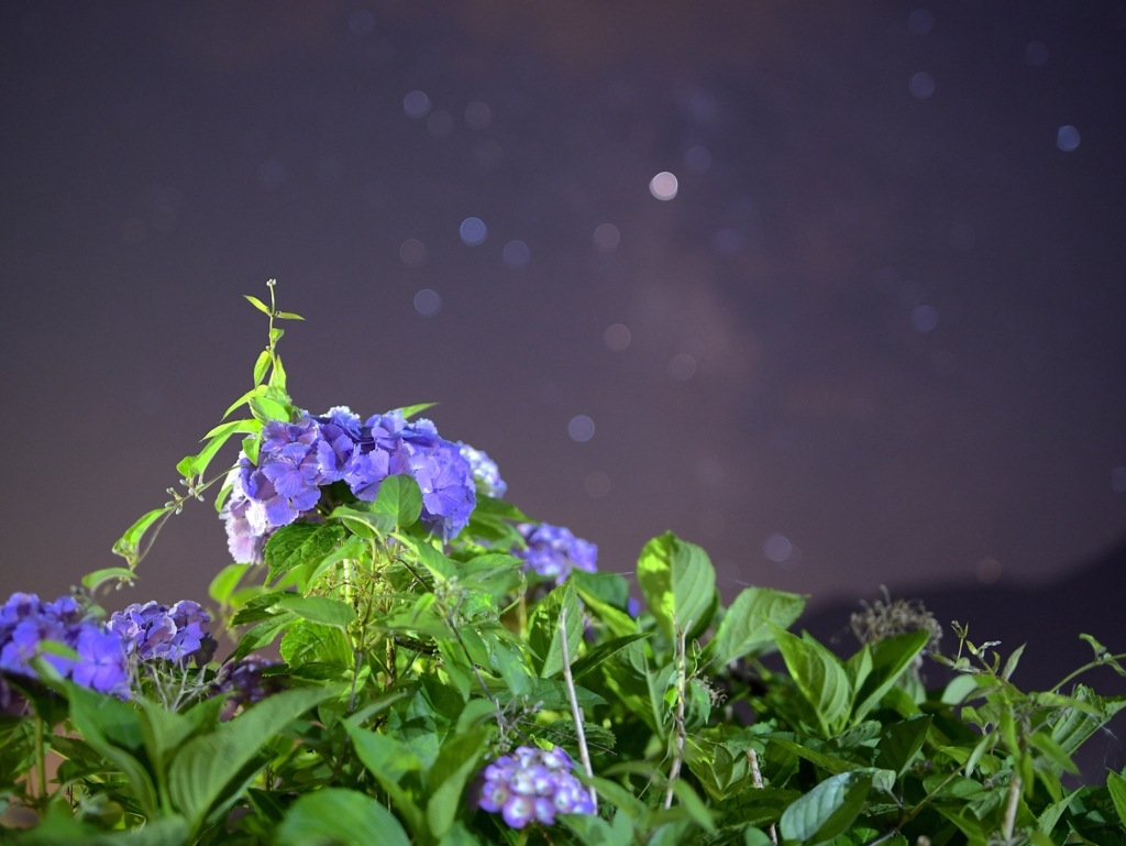 f:id:tatsumo77:20180813062344j:plain