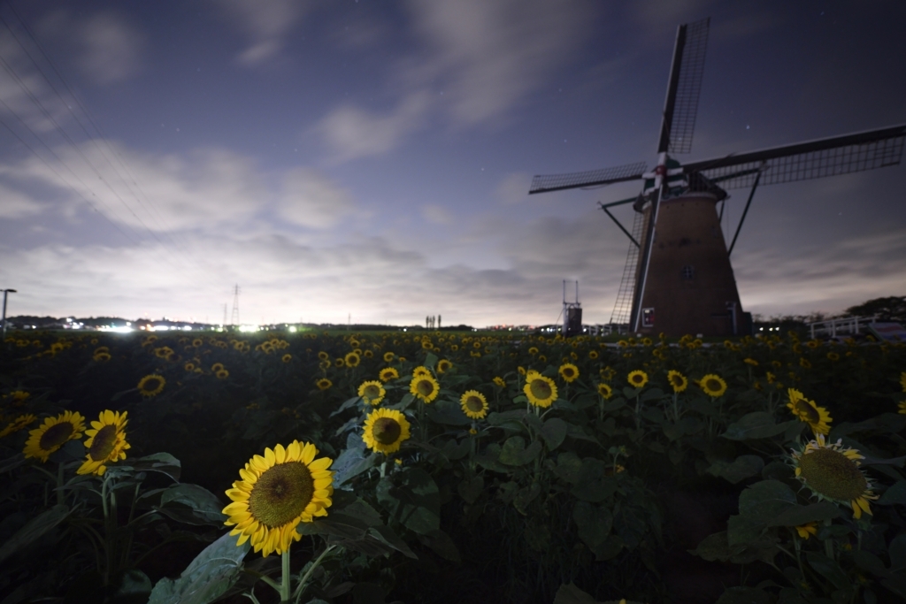 f:id:tatsumo77:20180828082422j:plain