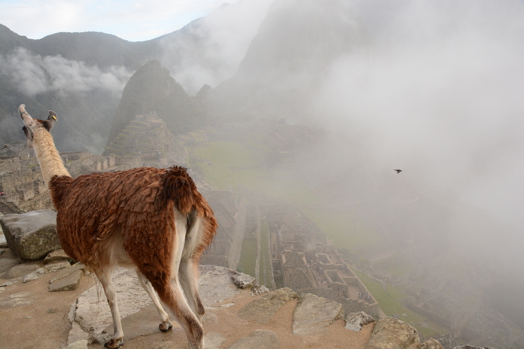 f:id:tatsumo77:20180918184437j:plain