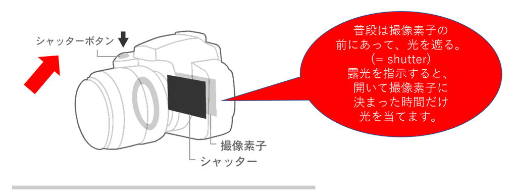 カメラの豆知識】フォーカルプレーンシャッター ～シャッタースピード