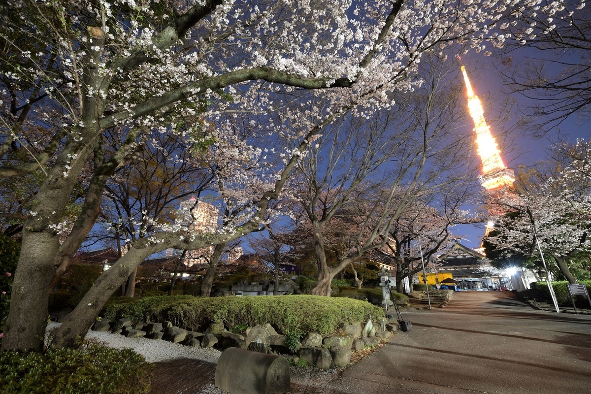 f:id:tatsumo77:20190405105051j:plain f:id:tatsumo77:20190405105051j:plain