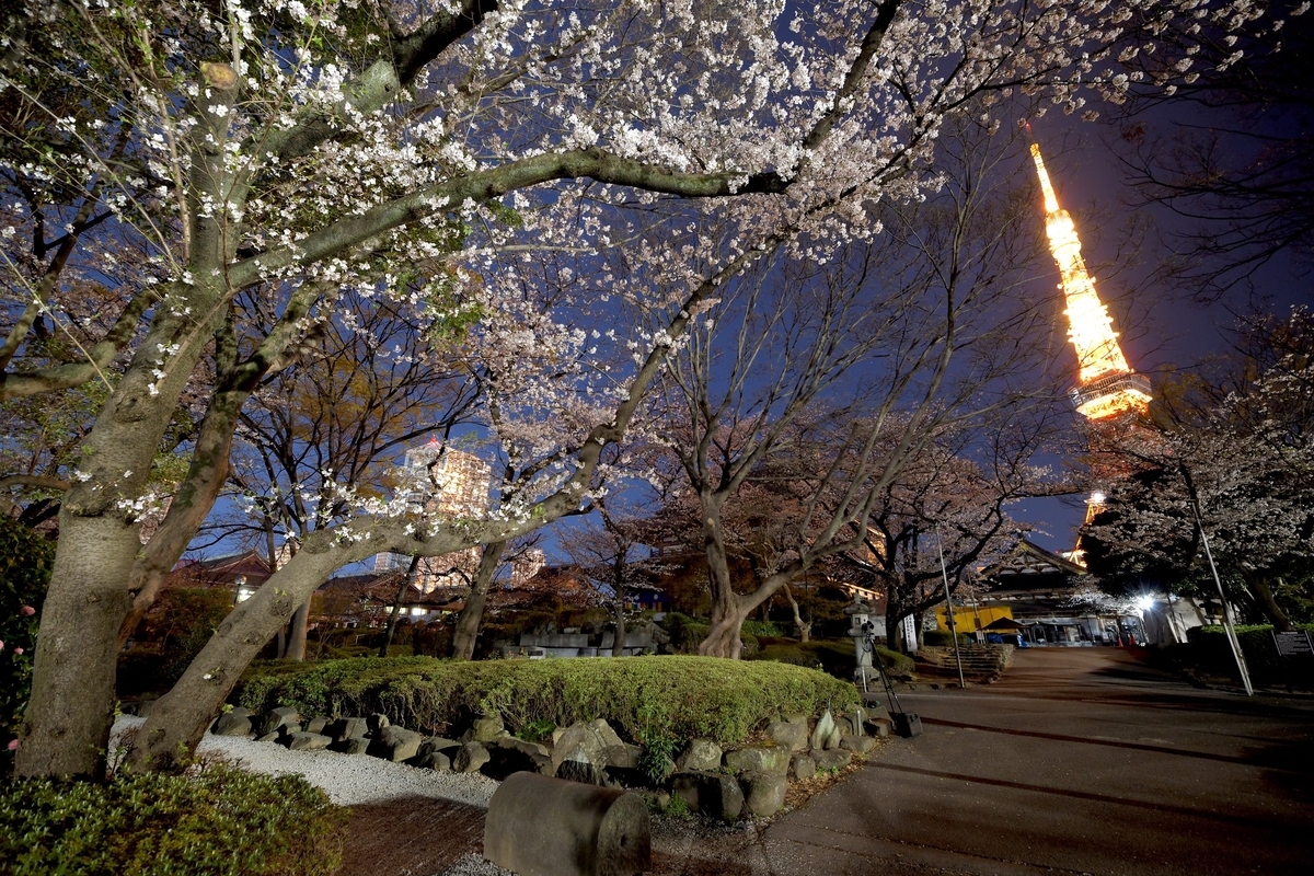 f:id:tatsumo77:20190405105057j:plain f:id:tatsumo77:20190405105057j:plain