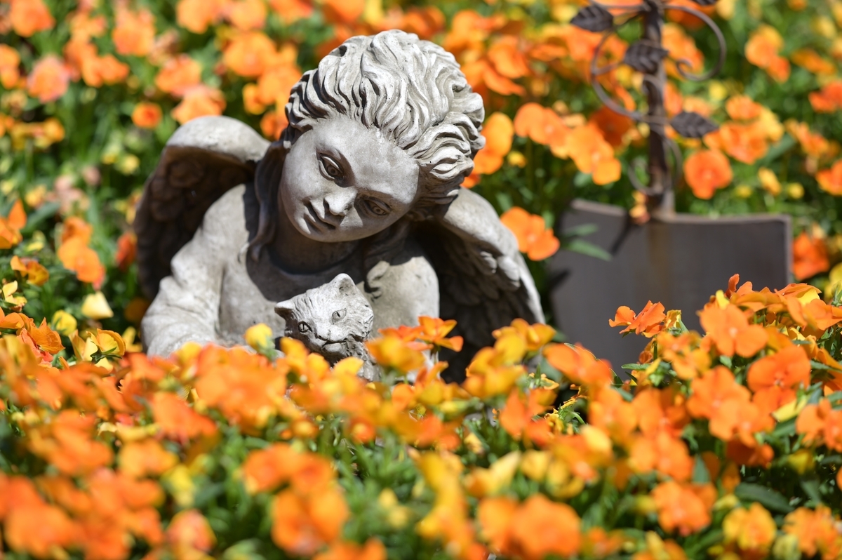 f:id:tatsumo77:20190503132019j:plain