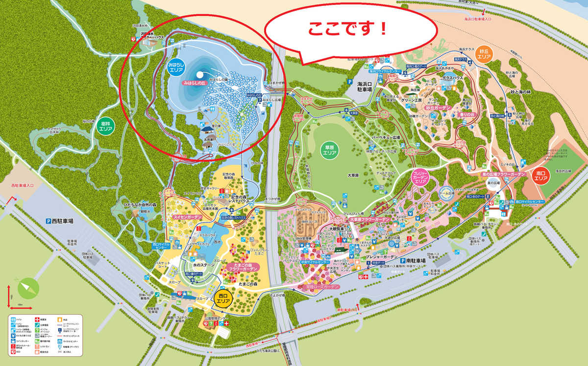 f:id:tatsumo77:20190513094508p:plain