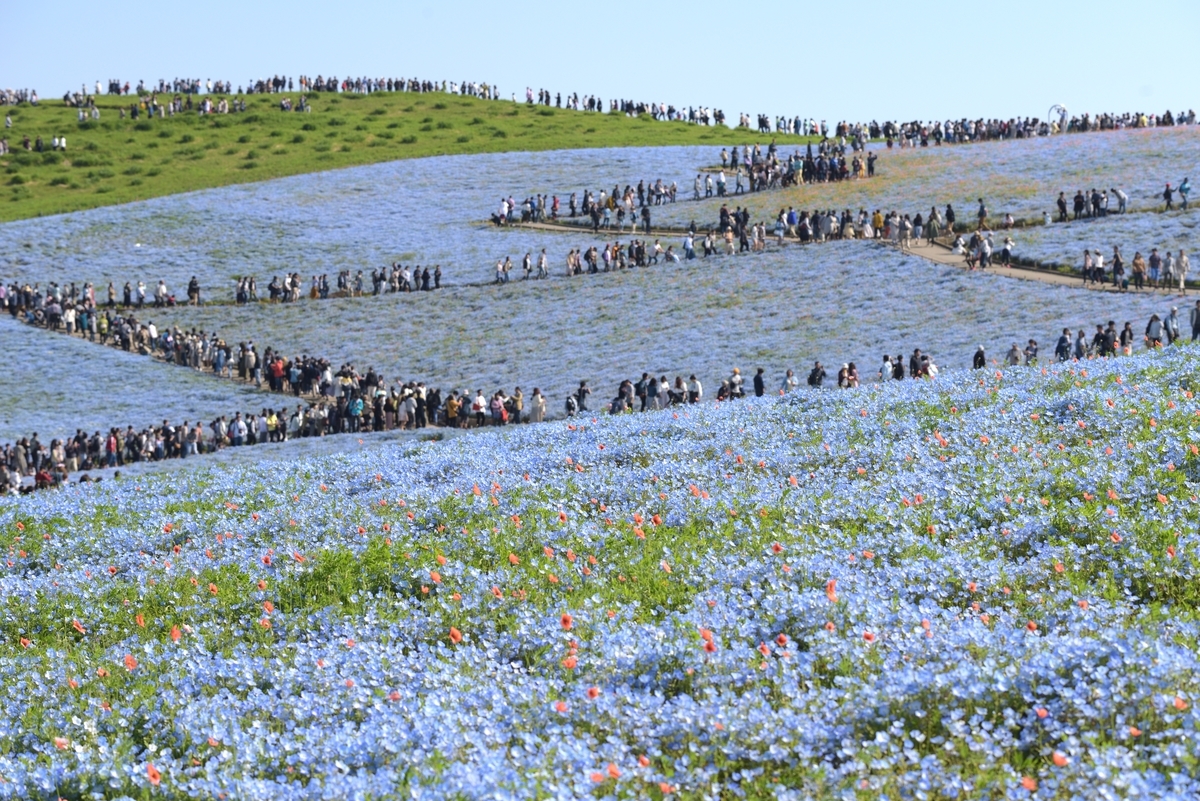 f:id:tatsumo77:20190513220110j:plain