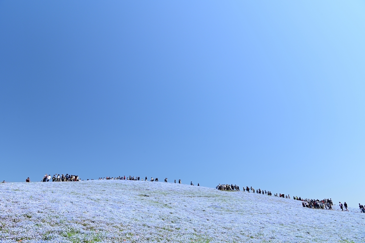 f:id:tatsumo77:20190513223226j:plain