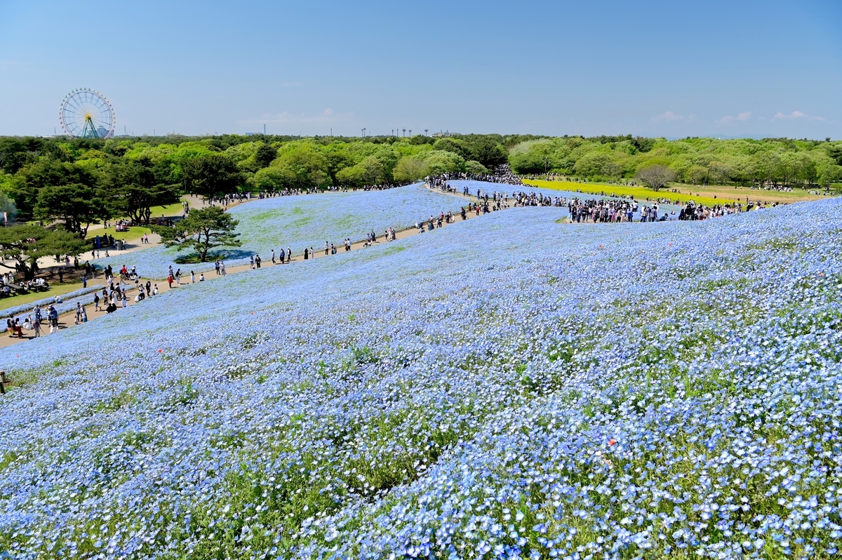 f:id:tatsumo77:20190513223615j:plain